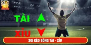 Soi kèo bóng Tài - xỉu